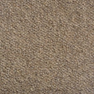 Earth Weave Carpeting Rainier Granite