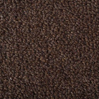 Earth Weave Carpeting Rainier Ursus