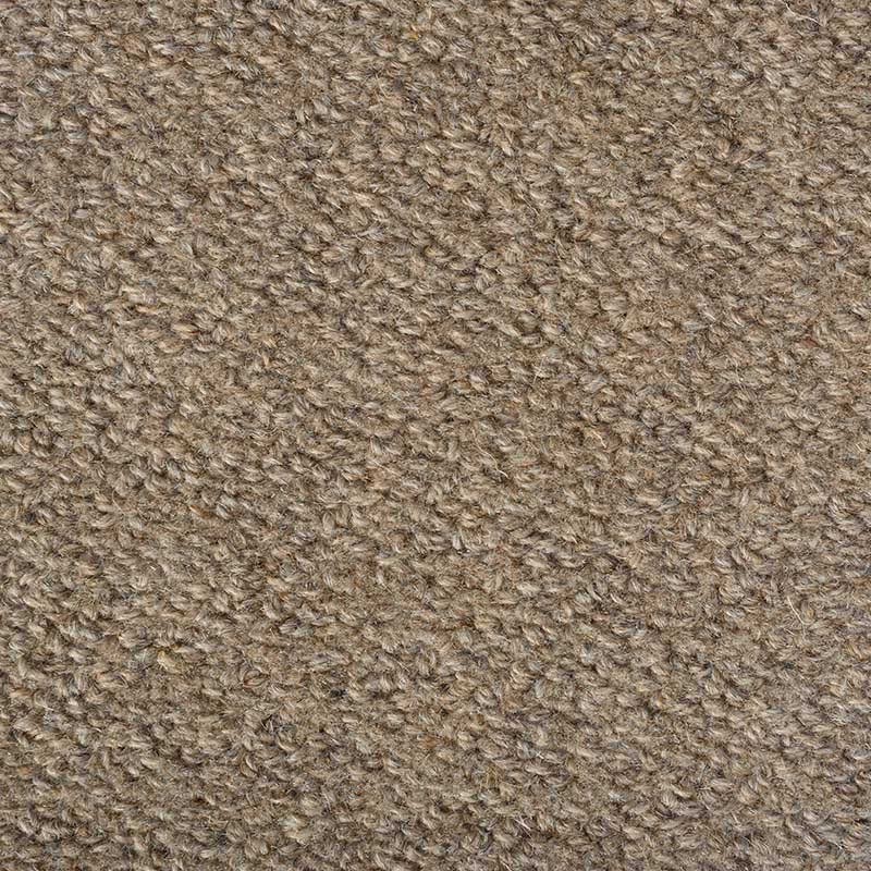 Earth Weave Carpeting Rainier Granite