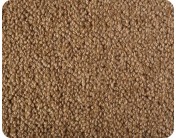 Earth Weave Rainier Tussock Rug 10' x 12' 