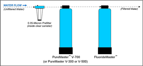 Setup Diagram of PureMaster and FluorideMaster