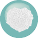 Fungus Spores